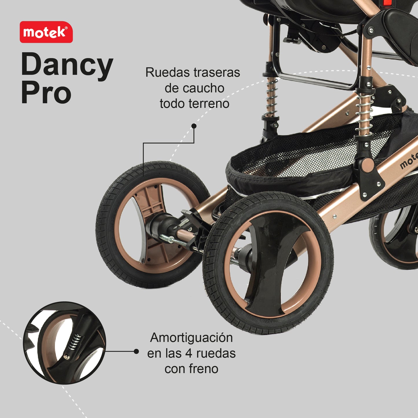 Carriola de Paseo Motek Dancy Pro 2 en 1 Bambineto Chasis Aluminio