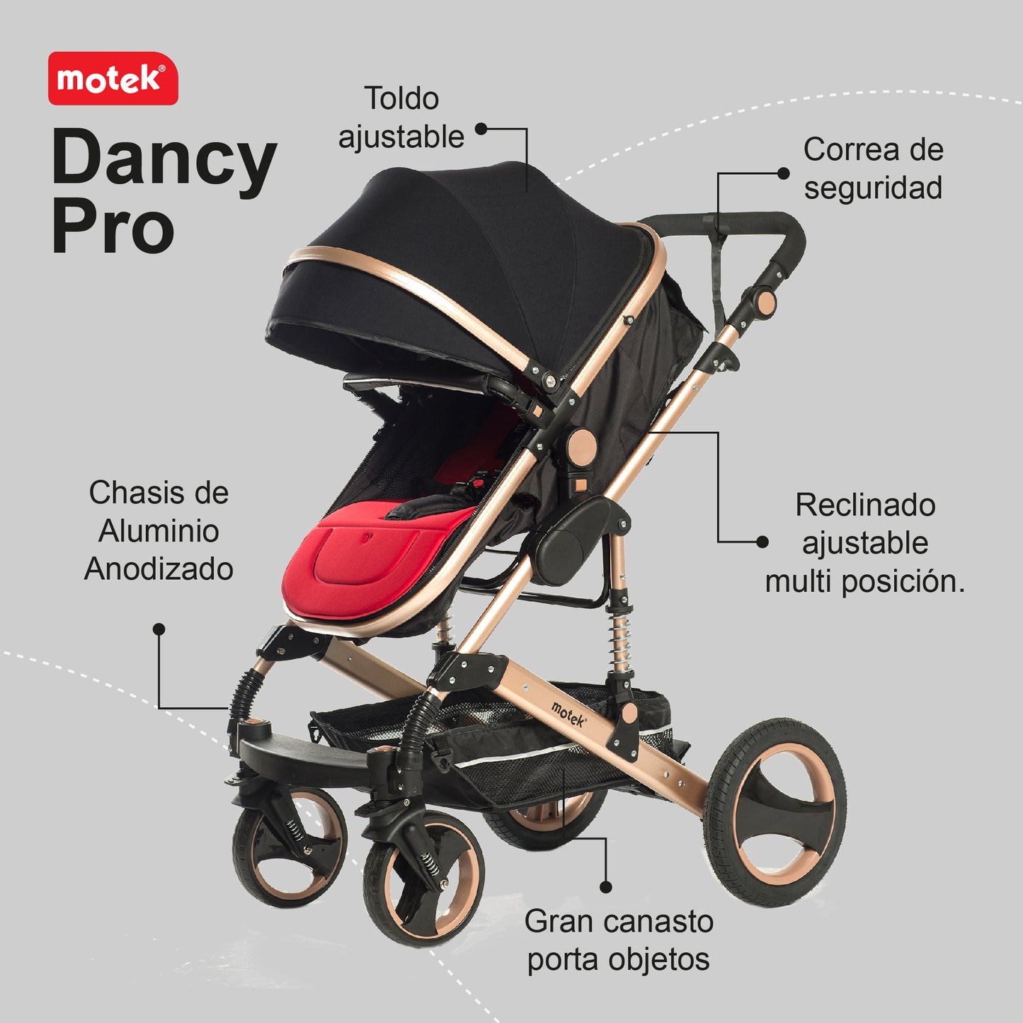 Carriola de Paseo Motek Dancy Pro 2 en 1 Bambineto Chasis Aluminio